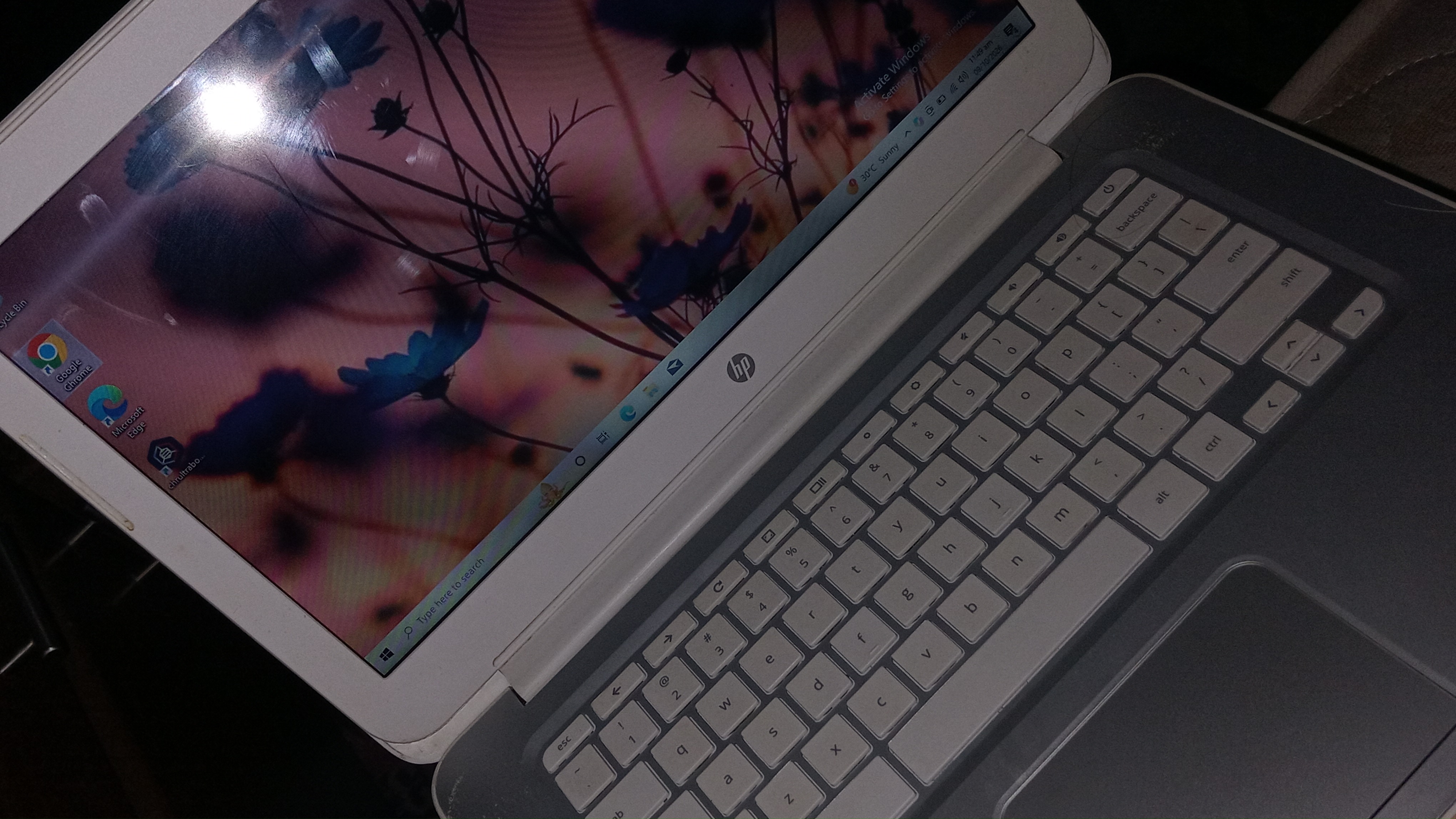 HP chromebook